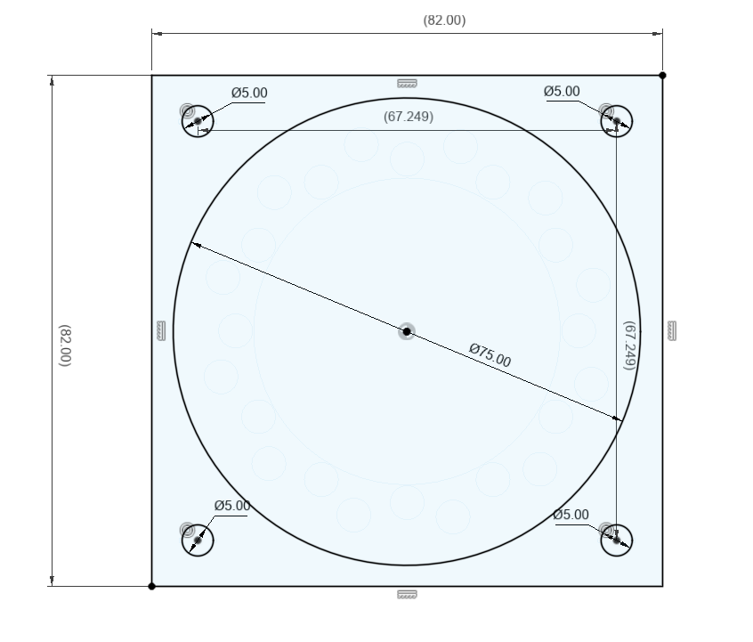 Conische Trechterval + Bijvangst rooster | Onderdeel voor de Aziatische geelpoothoornaar Box